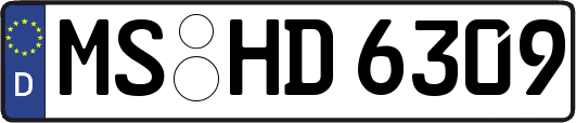 MS-HD6309