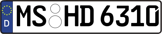 MS-HD6310