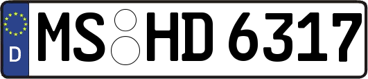 MS-HD6317