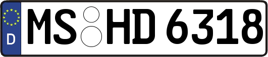 MS-HD6318