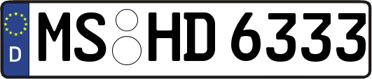 MS-HD6333