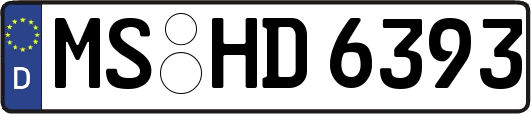 MS-HD6393