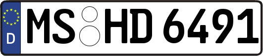 MS-HD6491