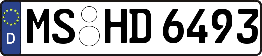 MS-HD6493