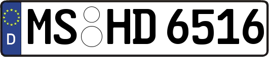 MS-HD6516