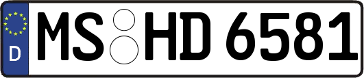 MS-HD6581