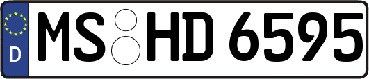 MS-HD6595