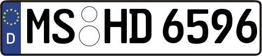 MS-HD6596