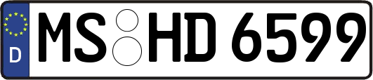 MS-HD6599