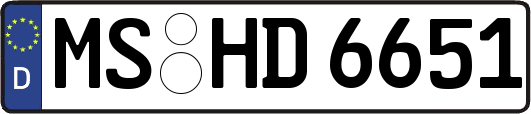 MS-HD6651