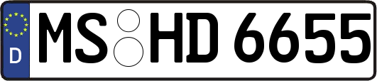 MS-HD6655