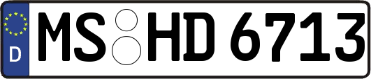 MS-HD6713