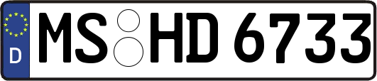 MS-HD6733