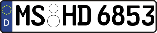 MS-HD6853