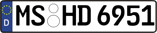 MS-HD6951