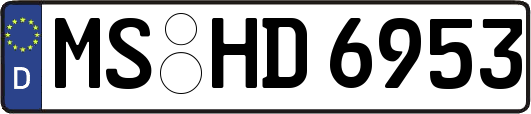 MS-HD6953
