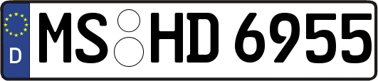 MS-HD6955