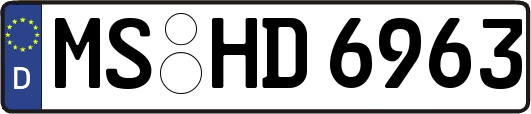 MS-HD6963