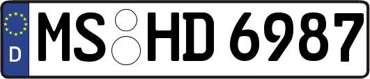 MS-HD6987