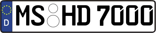 MS-HD7000