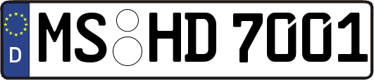 MS-HD7001