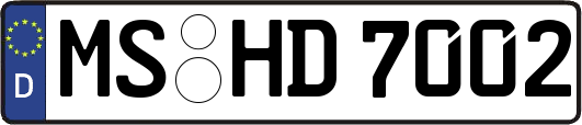 MS-HD7002
