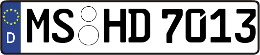 MS-HD7013