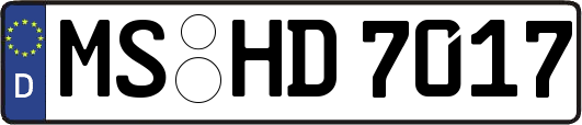 MS-HD7017