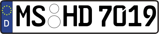 MS-HD7019