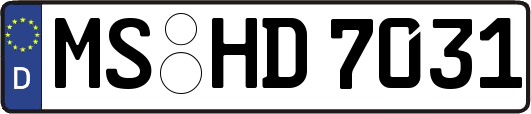 MS-HD7031