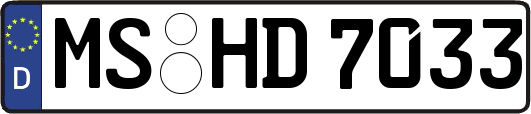 MS-HD7033
