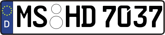 MS-HD7037