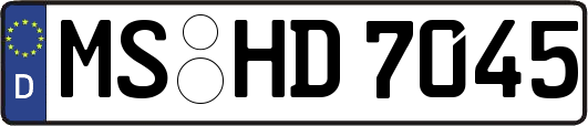 MS-HD7045