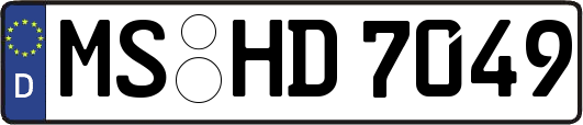 MS-HD7049