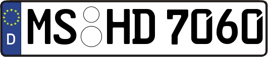 MS-HD7060