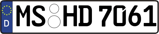 MS-HD7061