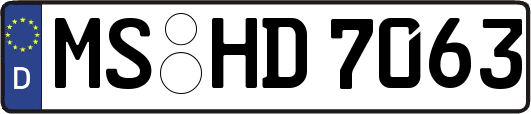 MS-HD7063