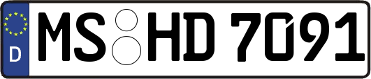 MS-HD7091