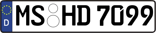 MS-HD7099