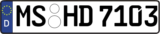 MS-HD7103
