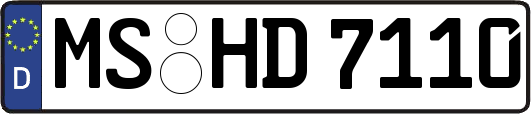 MS-HD7110