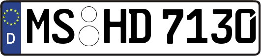 MS-HD7130