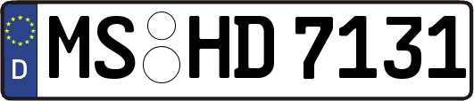 MS-HD7131