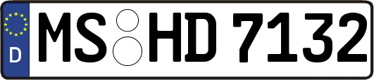 MS-HD7132