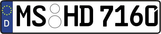 MS-HD7160