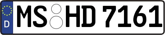 MS-HD7161