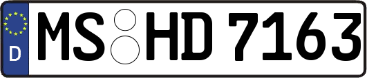 MS-HD7163