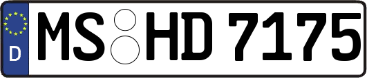 MS-HD7175