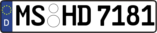 MS-HD7181