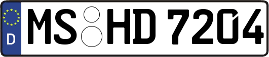MS-HD7204